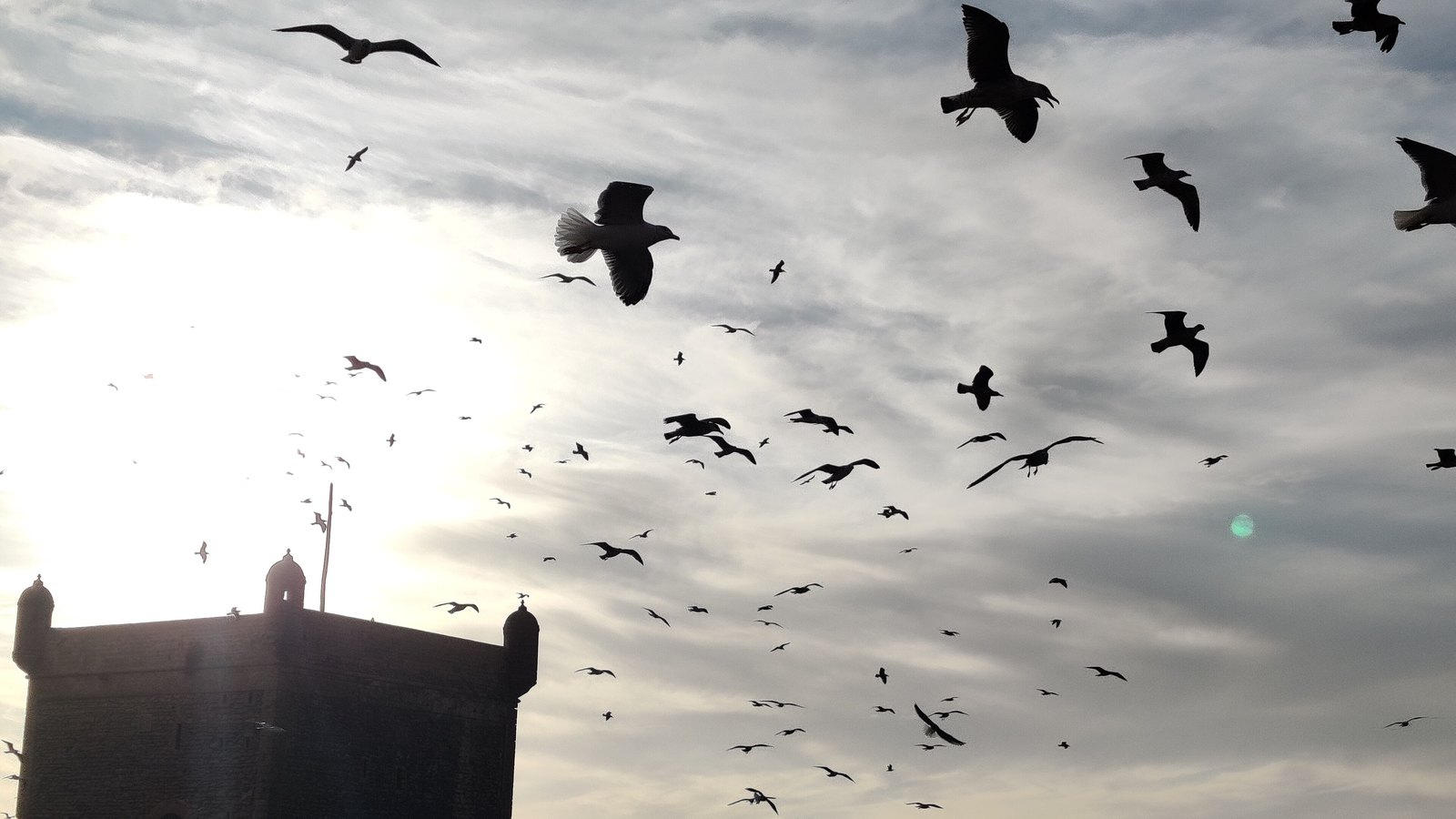 Fes to Essaouira bus travel in Morocco