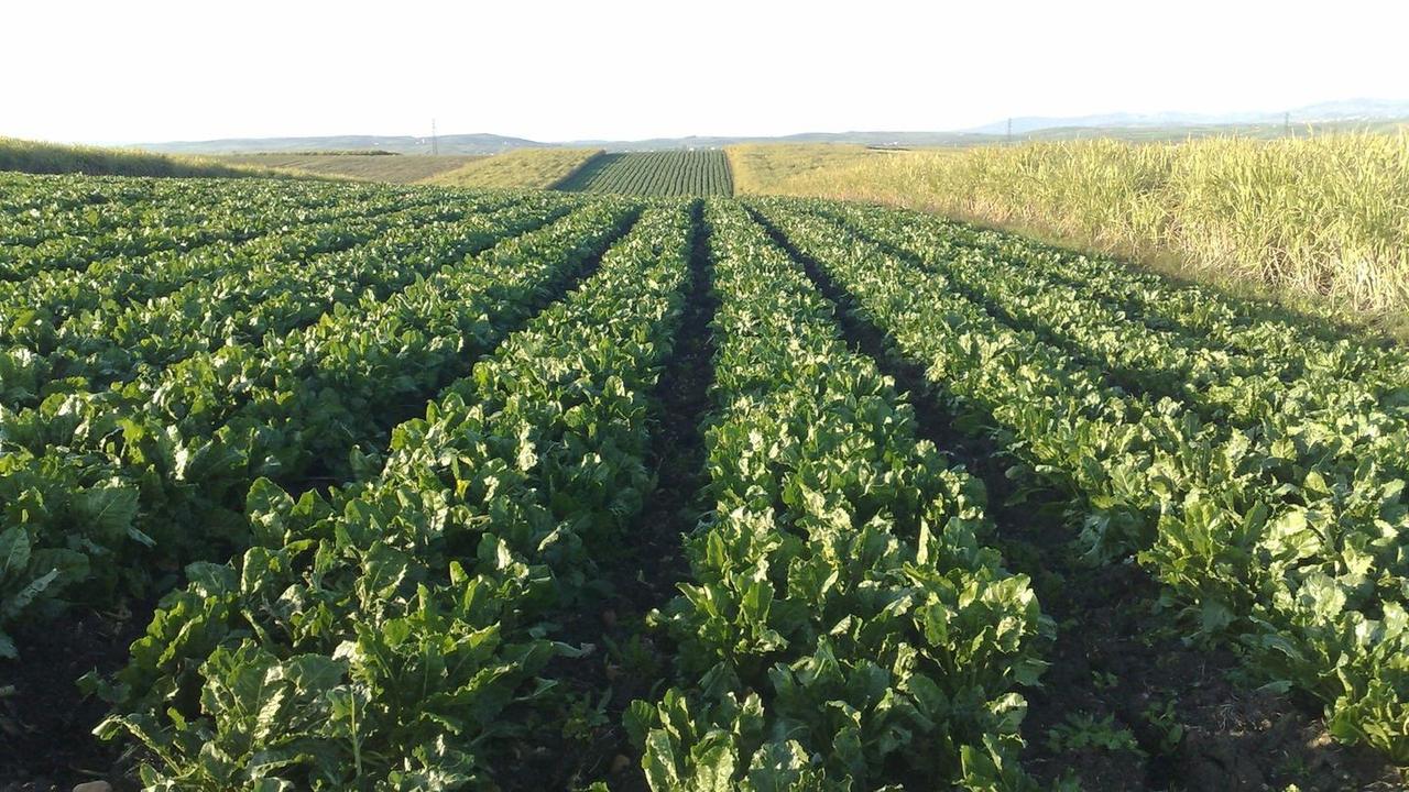 Tangier to Ksar El Kebir bus travel in Morocco