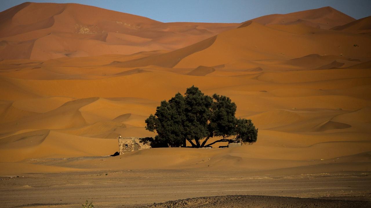 Ouarzazate to Merzouga bus travel in Morocco