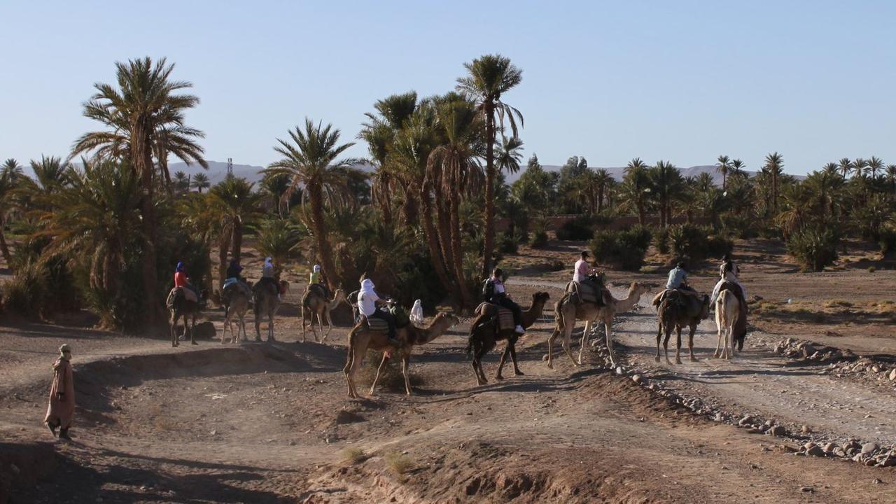 Ouarzazate to Zagora bus travel in Morocco